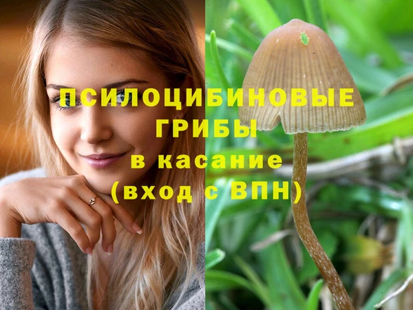 МДПВ Зеленокумск