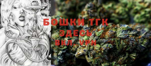 твердый Зеленодольск
