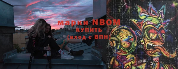 твердый Зеленодольск