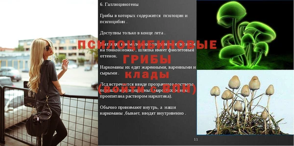 твердый Зеленодольск
